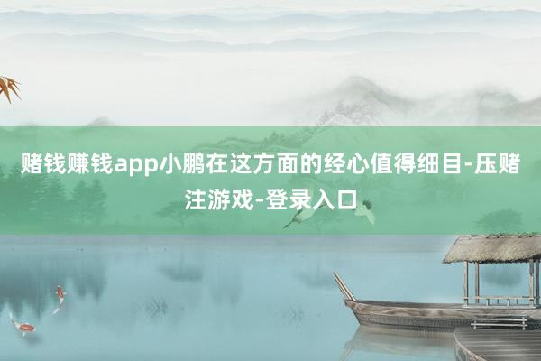 赌钱赚钱app小鹏在这方面的经心值得细目-压赌注游戏-登录入口