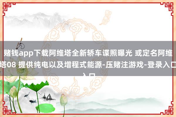 赌钱app下载阿维塔全新轿车谍照曝光 或定名阿维塔08 提供纯电以及增程式能源-压赌注游戏-登录入口